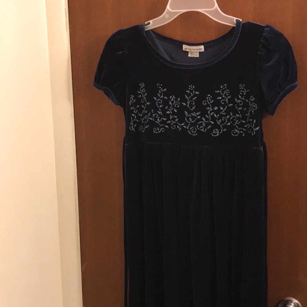 Deep Navy Velvety Beaded Dress